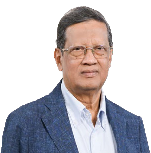 Director & Committee Member
